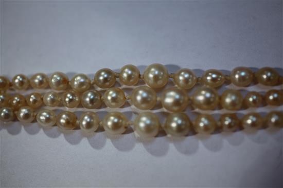 A late 19th/early 20th century triple strand graduated natural pearl necklace with gold, ruby and diamond set oval clasp, 22in.